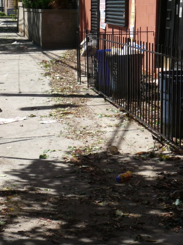 The water receeded and left debris