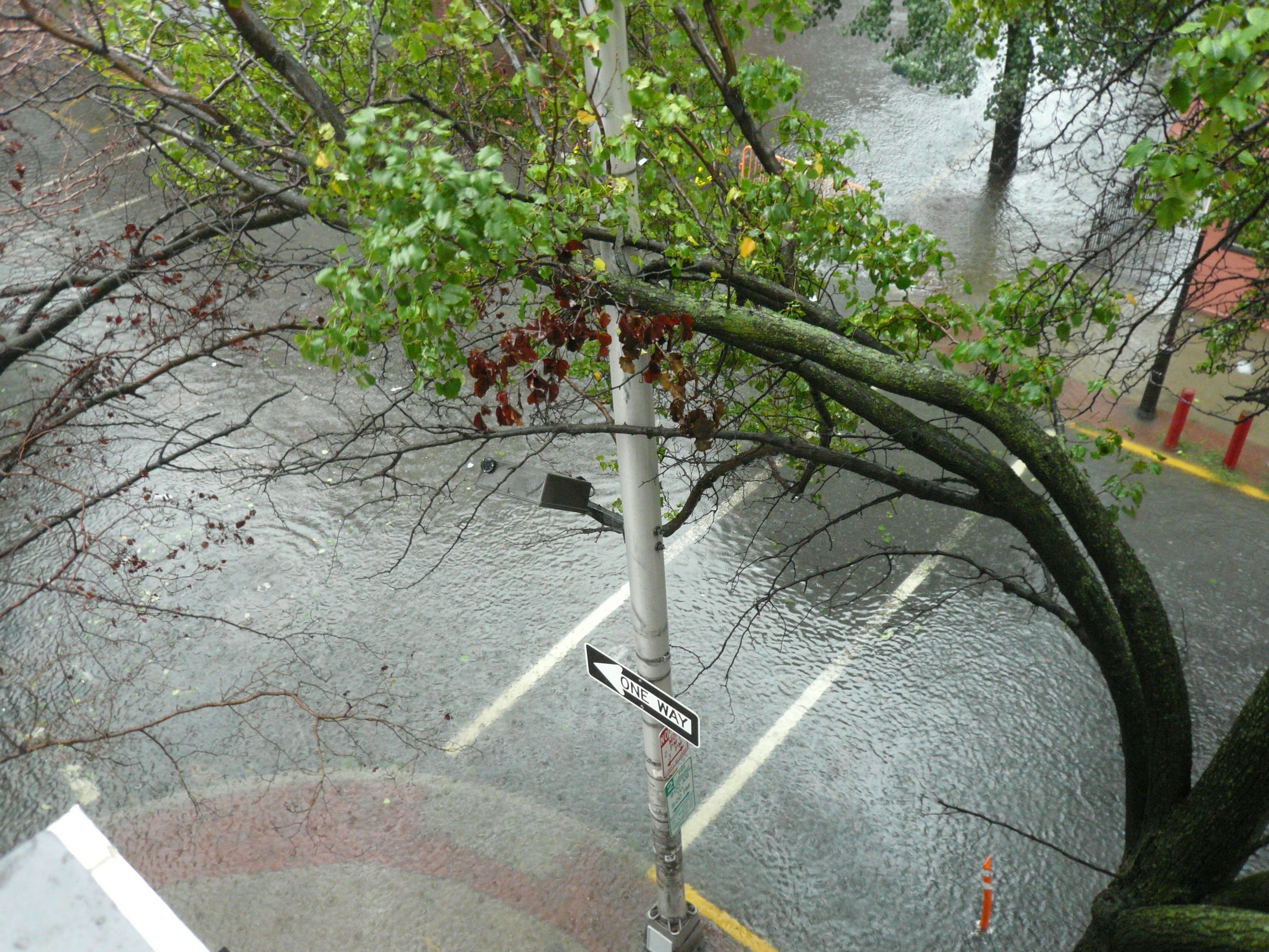 And looking left (East) at the First & Willow intersection